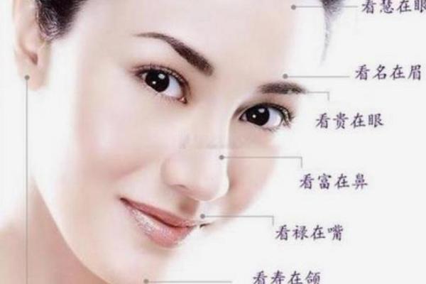 揭秘孤命面相特征：从面部细节看你的命运与性格