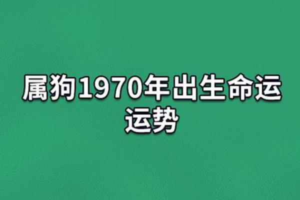 2020年属狗人的命运解析：如何把握机会，实现人生理想！