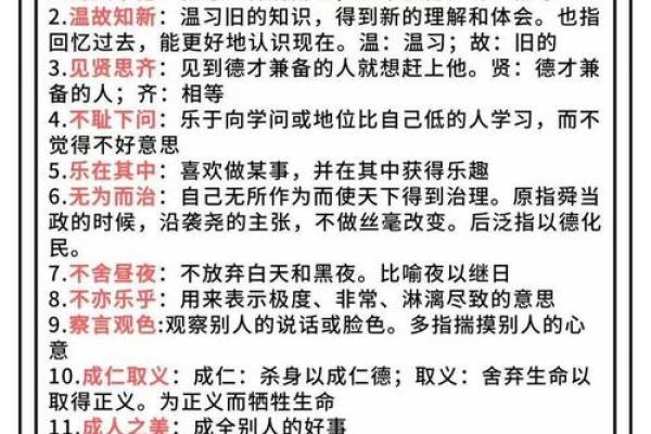 深入探寻唯命之道的哲学与实践——成语的魅力与启示
