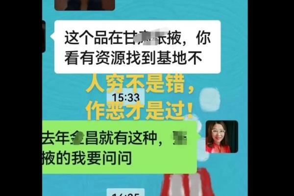 探寻车牌背后的命格之谜：数字与字母的命理解析