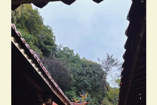 出门遇雨：命运的洗礼与心灵的洗涤