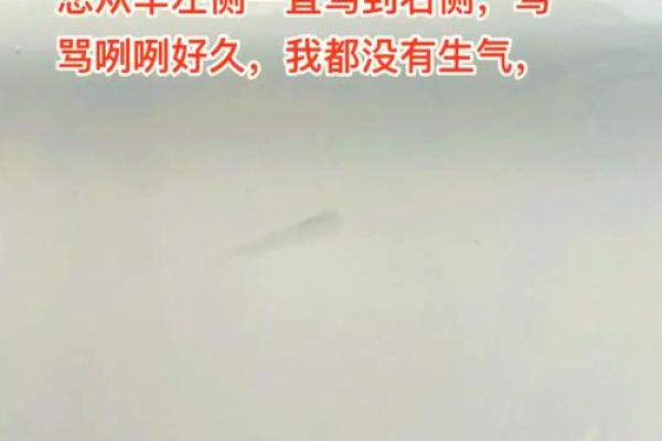 出门遇雨：命运的洗礼与心灵的洗涤