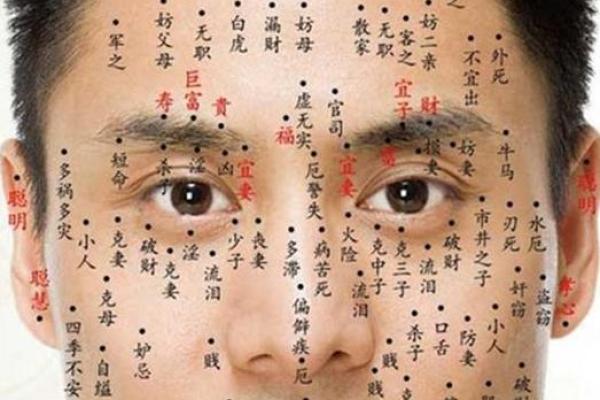 男生头很大是什么命？揭秘面相与命运的玄机！