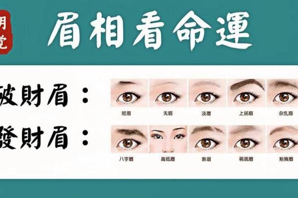 浅眉毛的人命运揭秘：与性格、事业和爱情的深度解析