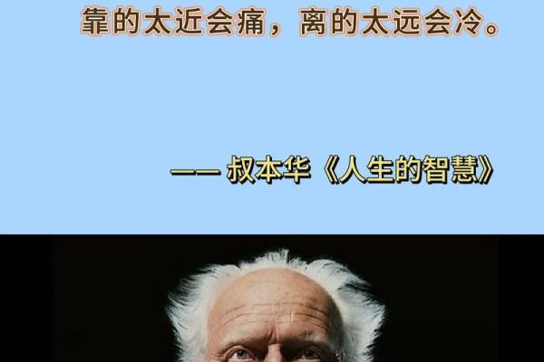 己未年出生者的命理解析与人生智慧