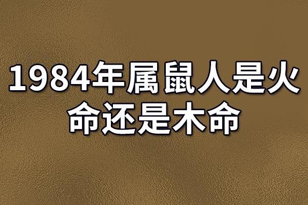 1936年鼠年：命运与运势的独特探究