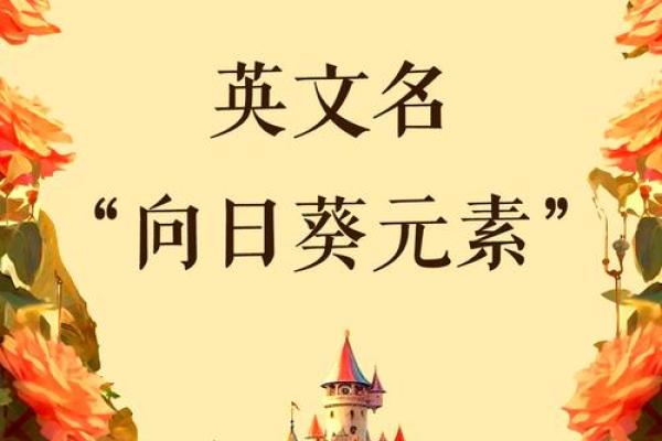 逆天改命：命运之轮与选择的力量