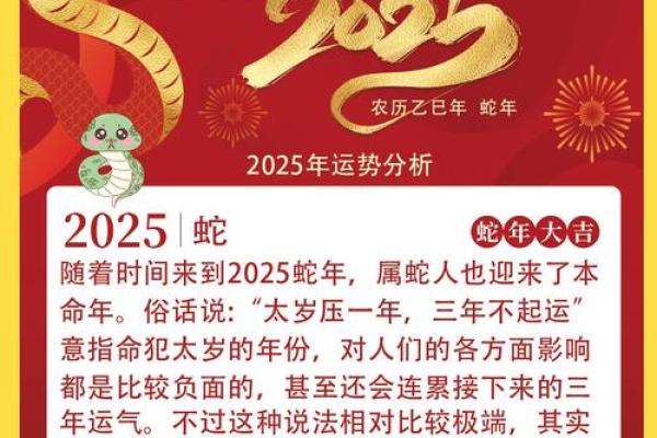 1913年属蛇的命运与人生，揭示智慧与变幻的奥秘