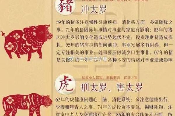 1995年寅时出生的命理解析与人生启示