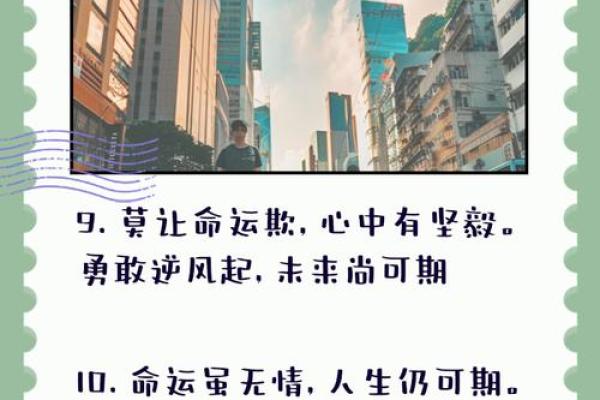 命运多舛，困境中的自我救赎与成长之路
