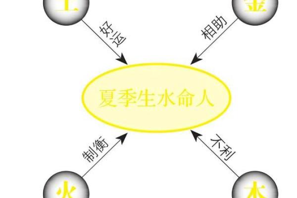 壬子水命人适合的职业选择：开创人生新篇章