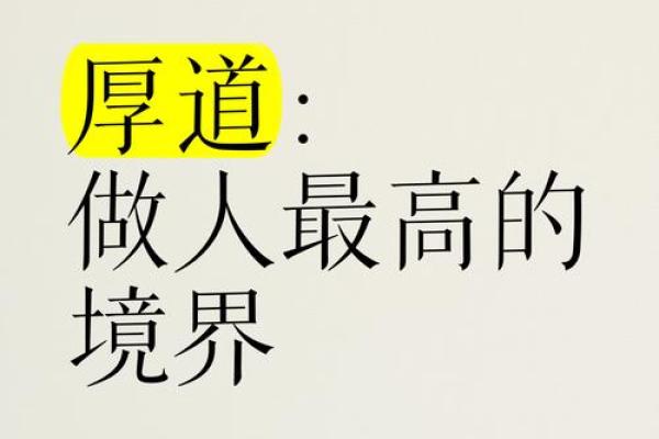 什么是清高与尊贵：探寻内心的真诚与优雅之道