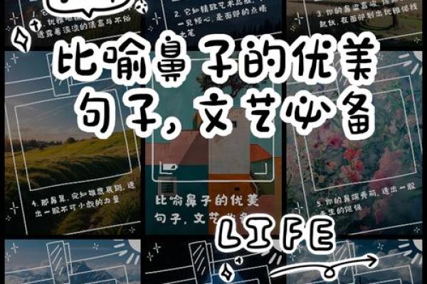 什么是清高与尊贵：探寻内心的真诚与优雅之道