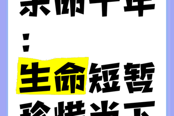 命长相伴几十年，命短何妨无憾生