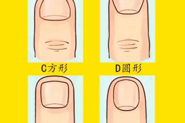 剪指甲的人是什么命？探讨指甲与命运的神秘关系