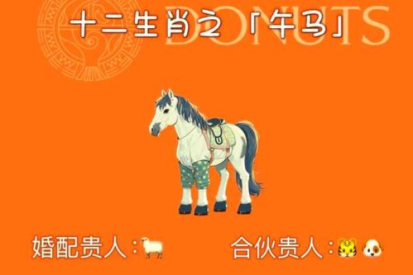 女马配什么属相最坏命，解读命理中的不合之缘