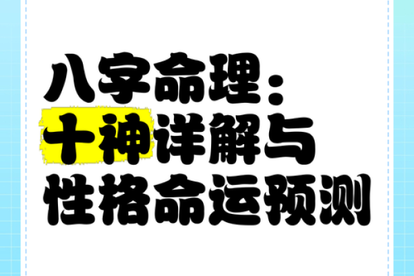 探索八字命理：2008年出生者的属性解析与人生启示