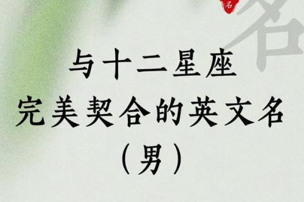 探索命运星辰：星座与个性命运的完美契合