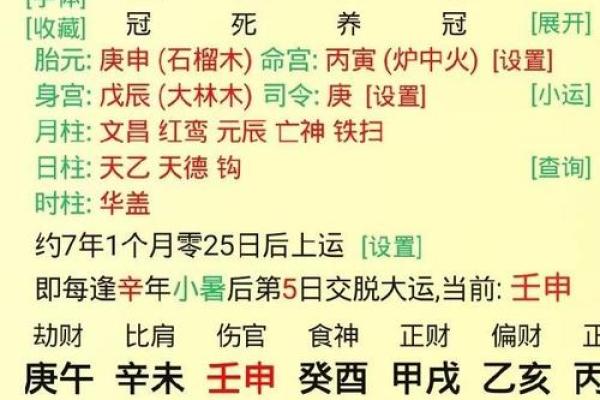辛酉年丁酉月命理解析：探寻命运的奥秘与人生的方向