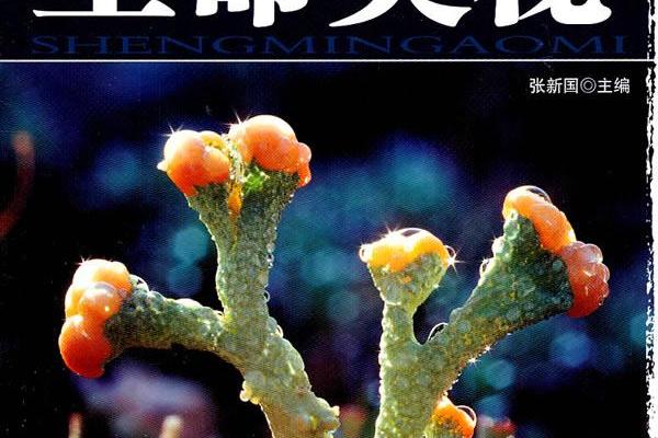 探索名字的奥秘：解析十六画的命运特征与内涵