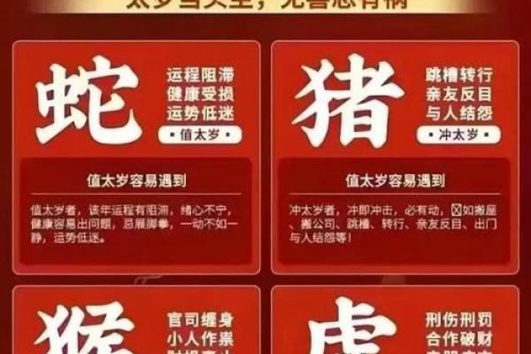固定命盘指示什么生肖？解锁你的命运之钥！
