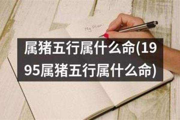 2007年属猪男命运解析：性格特征与人生机遇