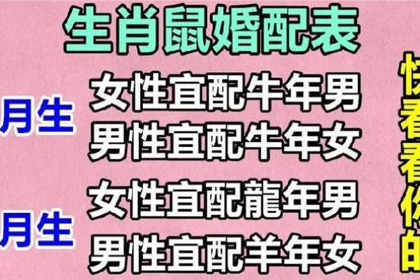 属相命格解析：解密每个属相的命运之道与个性特征