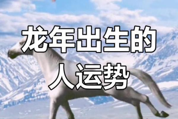 1995年属龙的命运解析：探索其性格、职业与生活之道