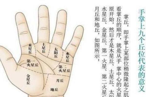 左手戴手镯的女人命运：象征与运势的探秘