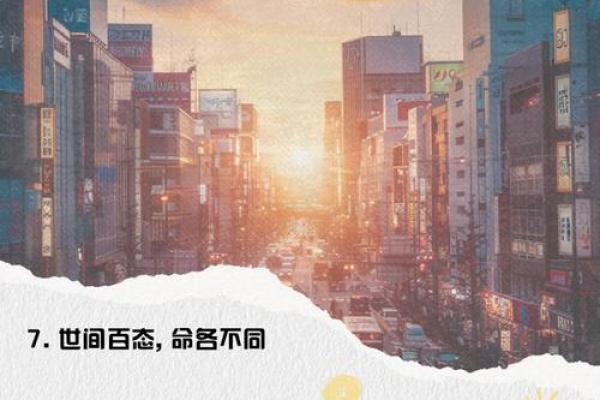命运的旋律：探讨生活的意义与选择