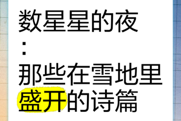 探秘1990年腊月十四：那一夜的星空与愿景