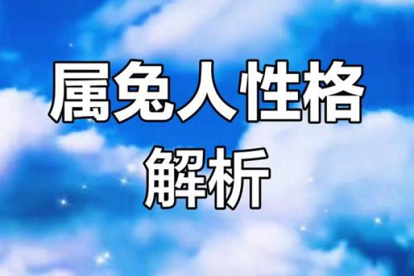 2003年兔子命解析：兔年出生者的命运与性格特征