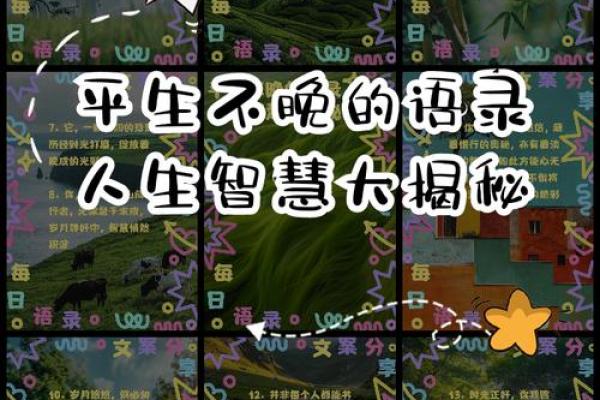 1993年土命人：坚韧与包容的生命之旅