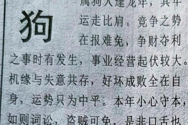 74虚岁属狗的人生运势与命理解析