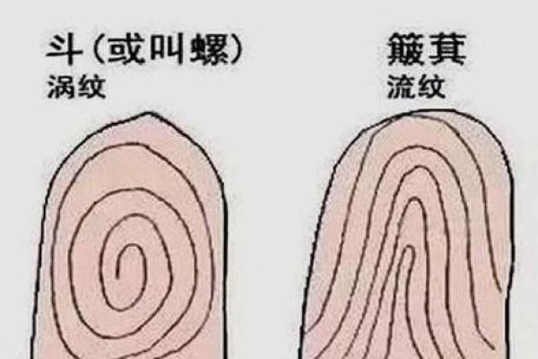 手指命运解析：为何“没有螺”意味着人生的独特之旅？