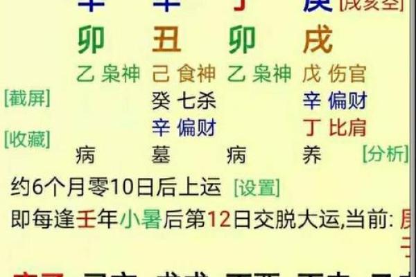 如何辨别自己的土命：深入浅出，一步一步教你查找真相