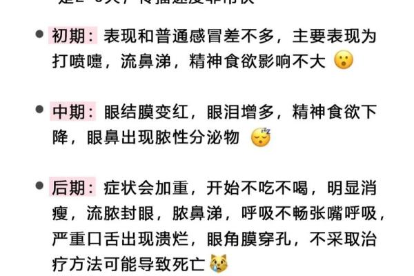 命理解析：肺炎肆虐背后的深层寓意与预警