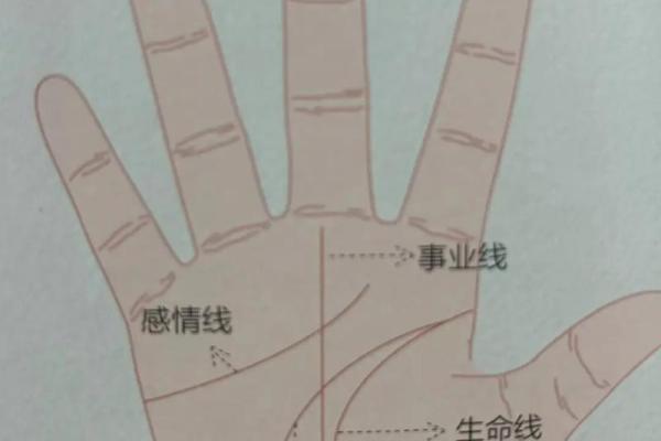 手骨节特别软的人命运解析：细腻与坚韧交织的生活轨迹