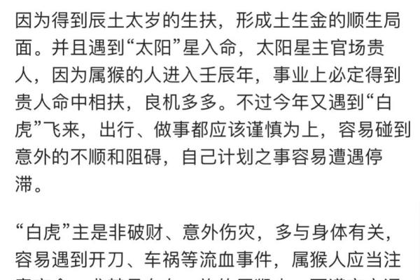2004属猴命：聪明灵活的猴子带来的命运解析