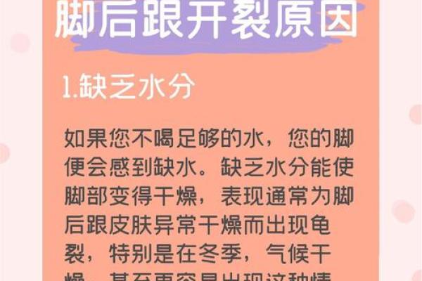 脚后跟的秘密：揭示富贵命运的深藏信号