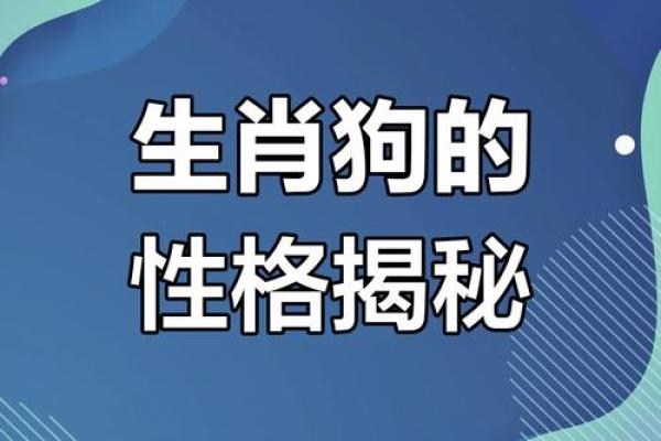揭秘：18岁属狗人的命运与性格分析