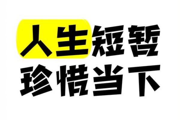 生命如命，珍惜每个当下，活出精彩人生