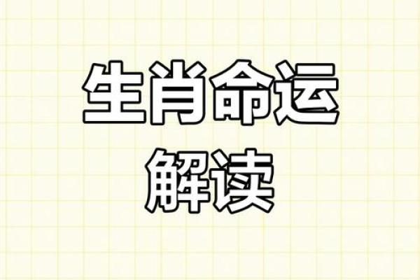 水牛生肖命理解析：揭示缺失之物与生活方向的完美结合