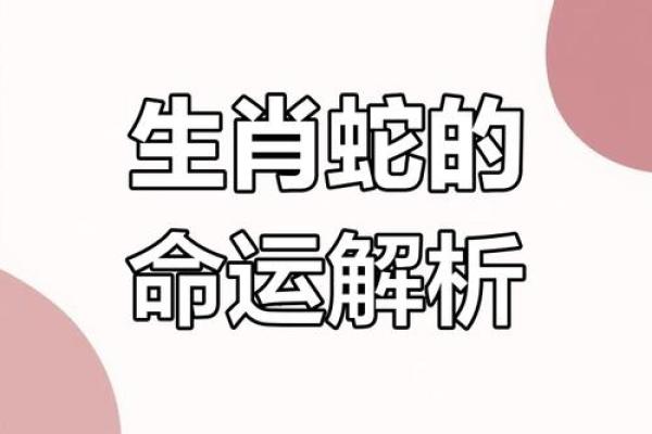 2000年属蛇人的命运解析：机遇与挑战的双重人生