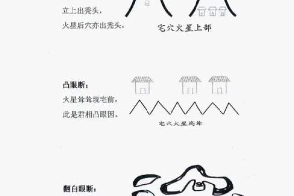 火命缺水，转运的风水秘笈与生活技巧分享