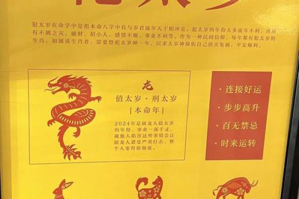 解密骨重4.7的命格玄机，揭开命运之谜！