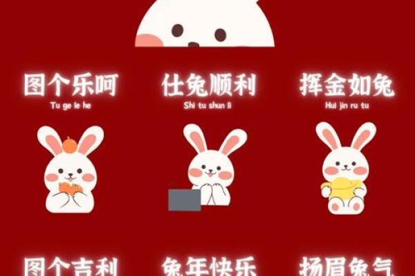 乾隆兔年诞生：解读兔命的性格与命运之路