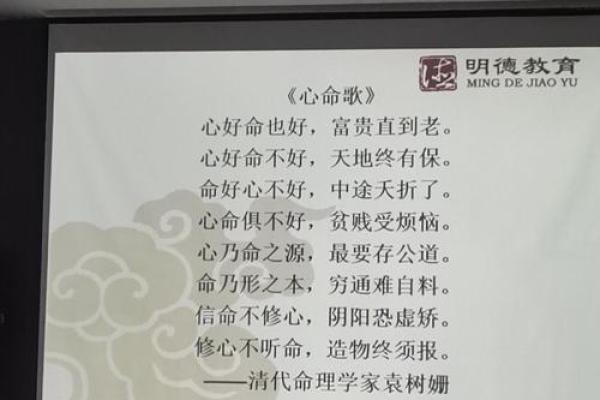 揭开水仙命的神秘面纱：探索命理与人生的交织