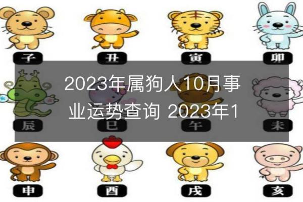 1994年属狗的命理解析：缺什么、需注意的生活指南
