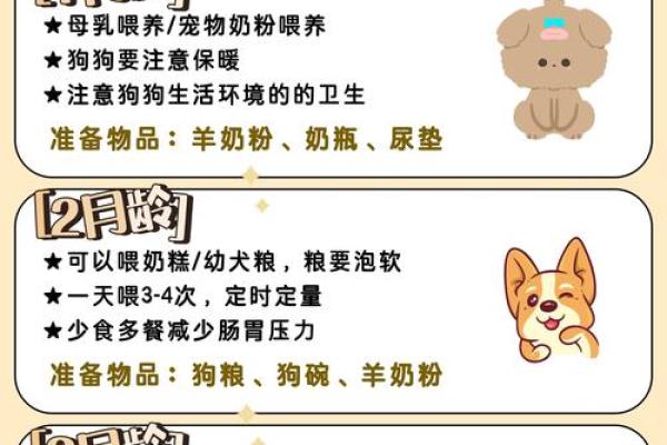 1994年属狗的命理解析：缺什么、需注意的生活指南